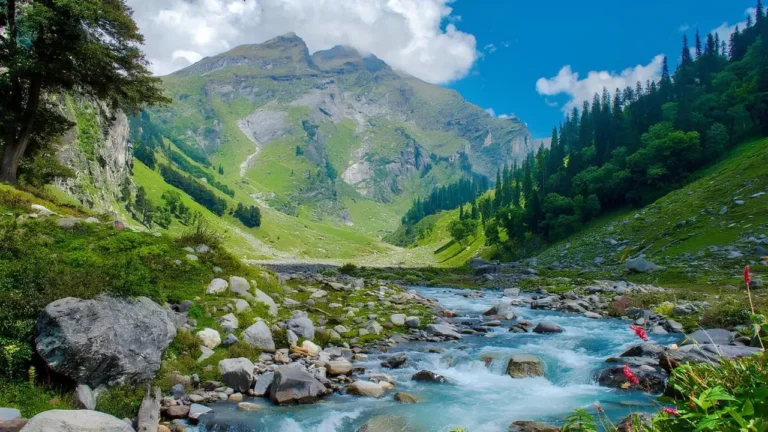 Hampta Pass & Chandratal Trek