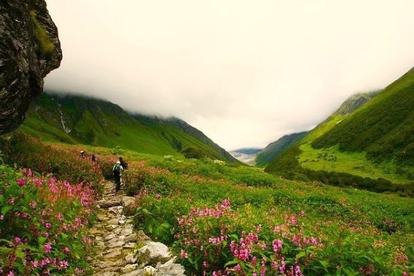 Valley of Flowers